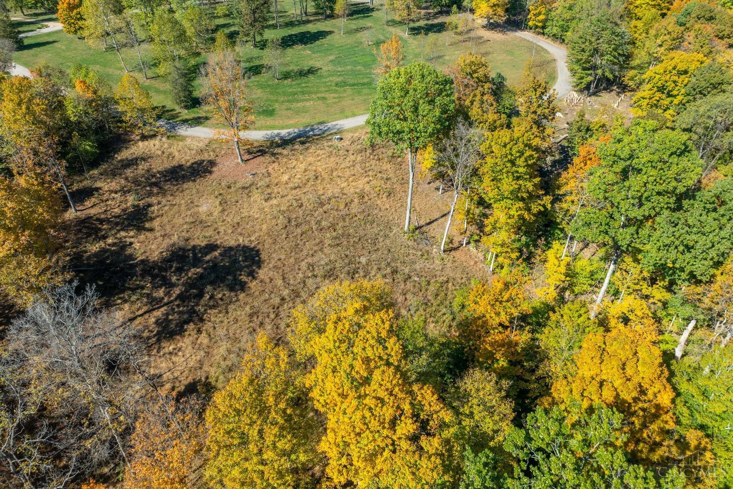 3976 Merwin Farms Dr Property Photo 10