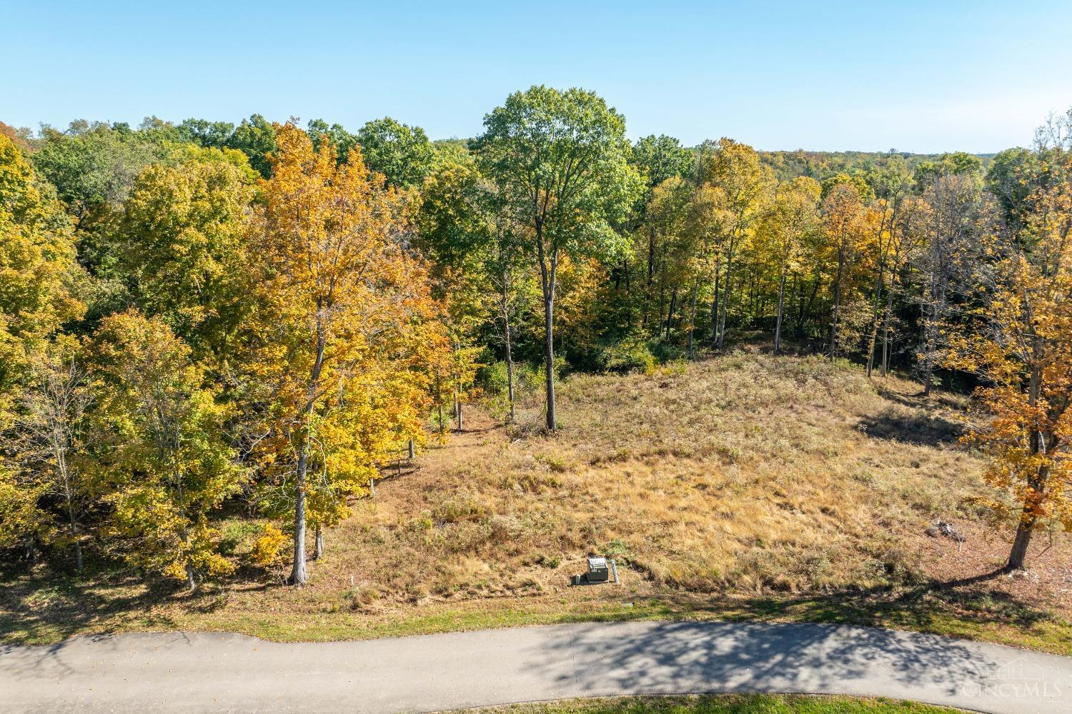 3976 Merwin Farms Dr Property Photo 18