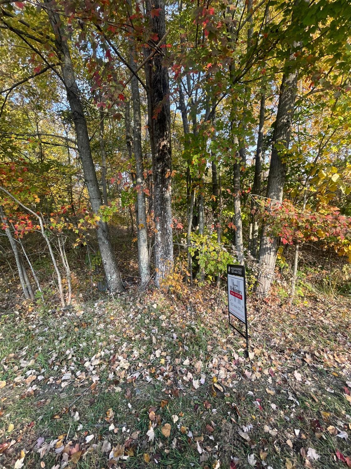 3869 Sarsi Dr Property Photo 3