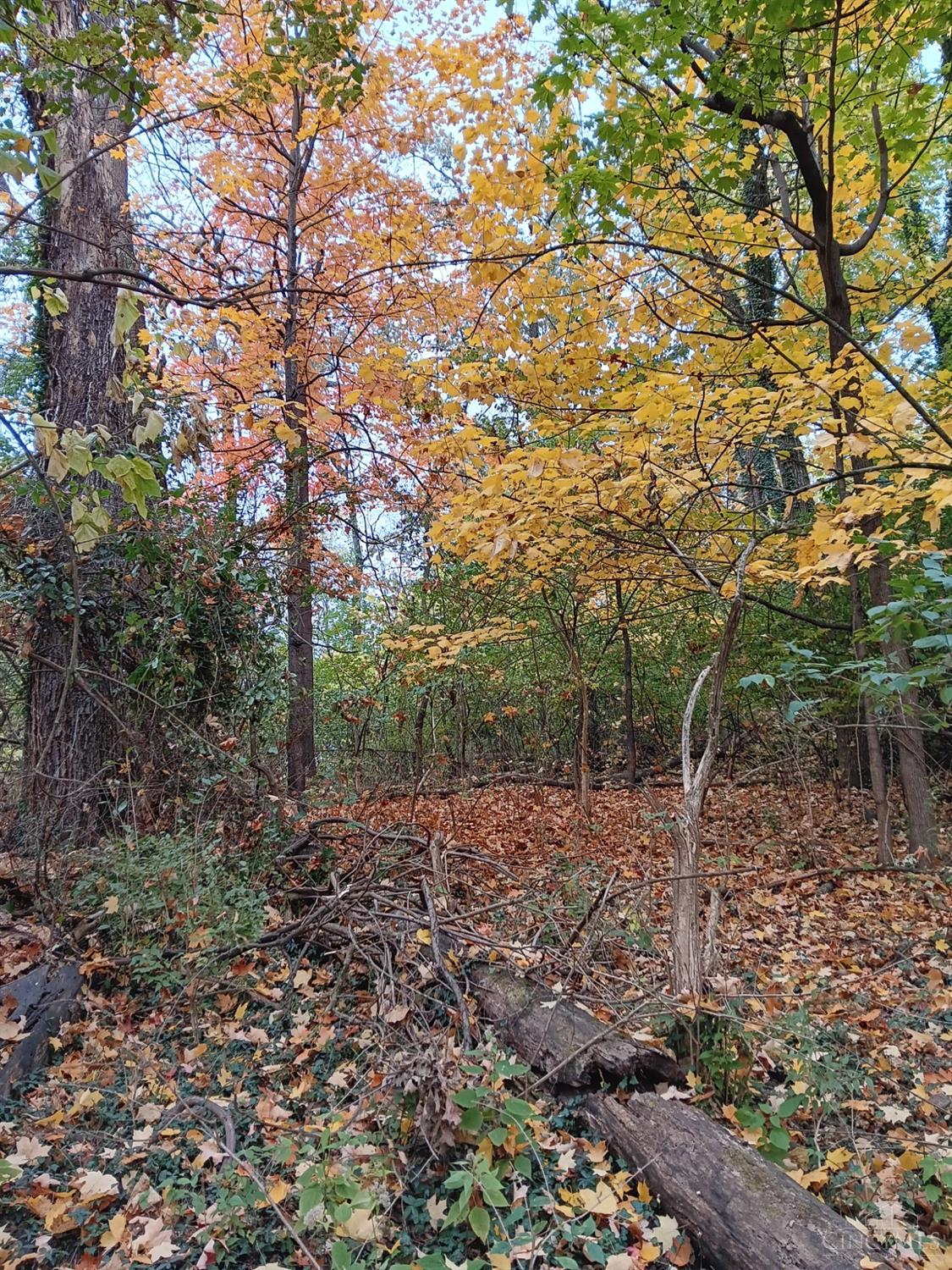 5354 Indian Mound Ave Property Photo 2