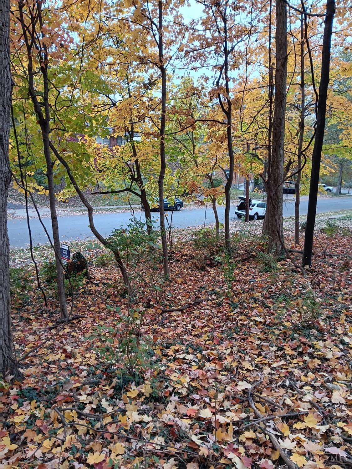 5354 Indian Mound Ave Property Photo 3