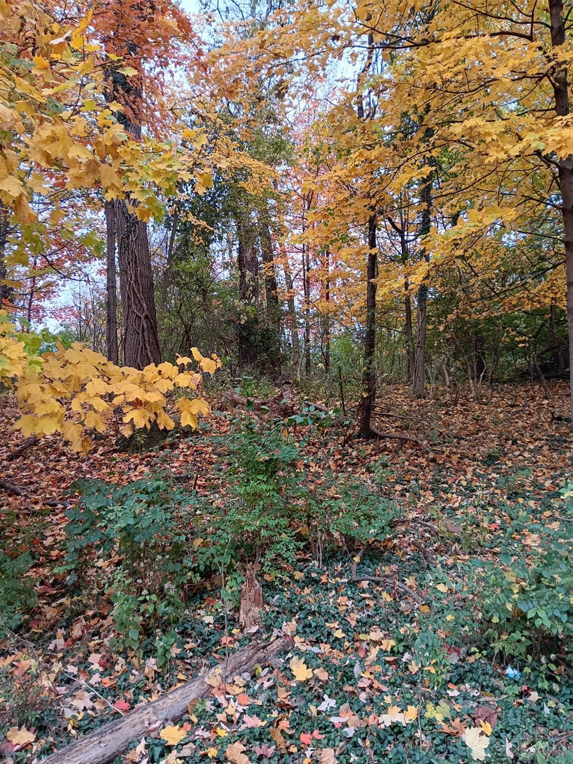 5354 Indian Mound Ave Property Photo 4