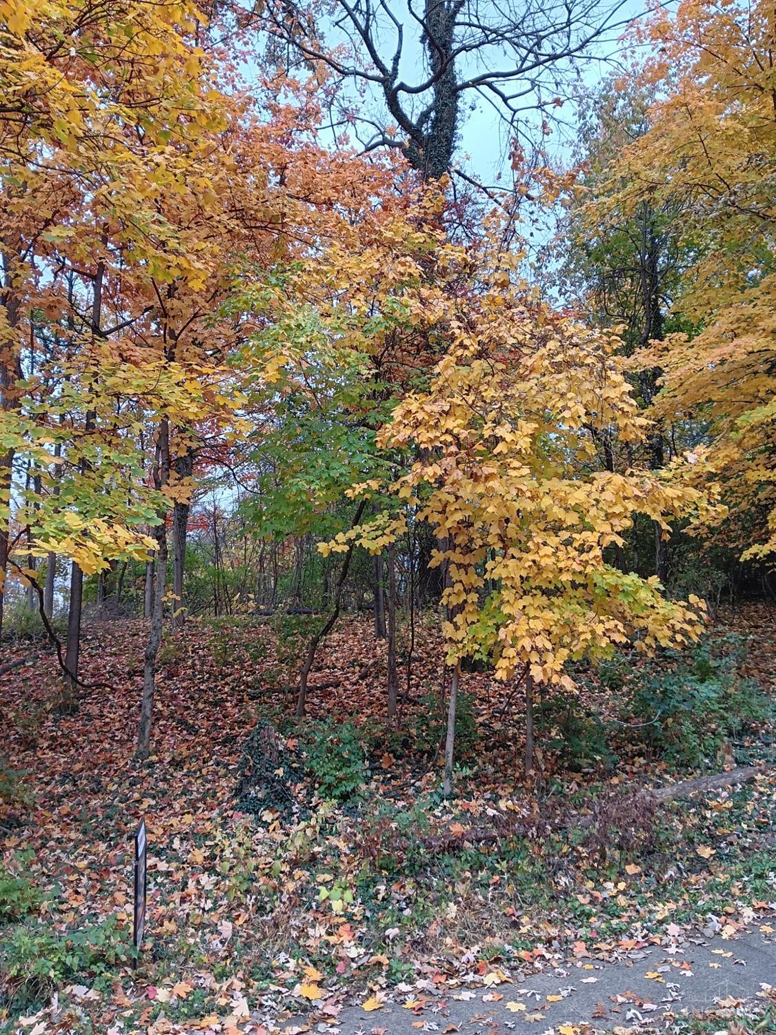 5354 Indian Mound Ave Property Photo 5
