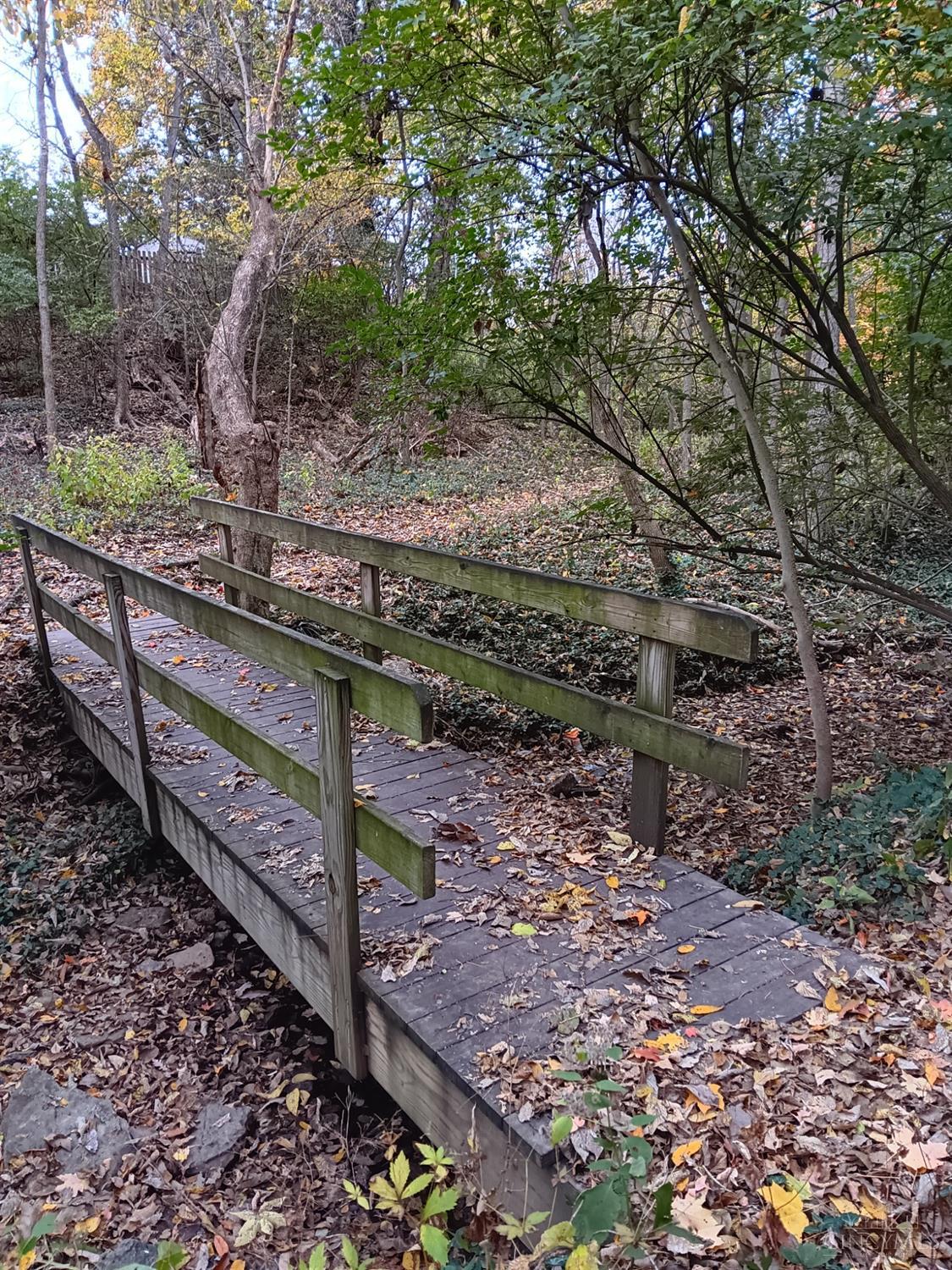 5354 Indian Mound Ave Property Photo 14