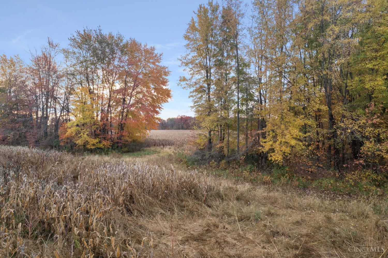 0 Colthar Rd Property Photo 2