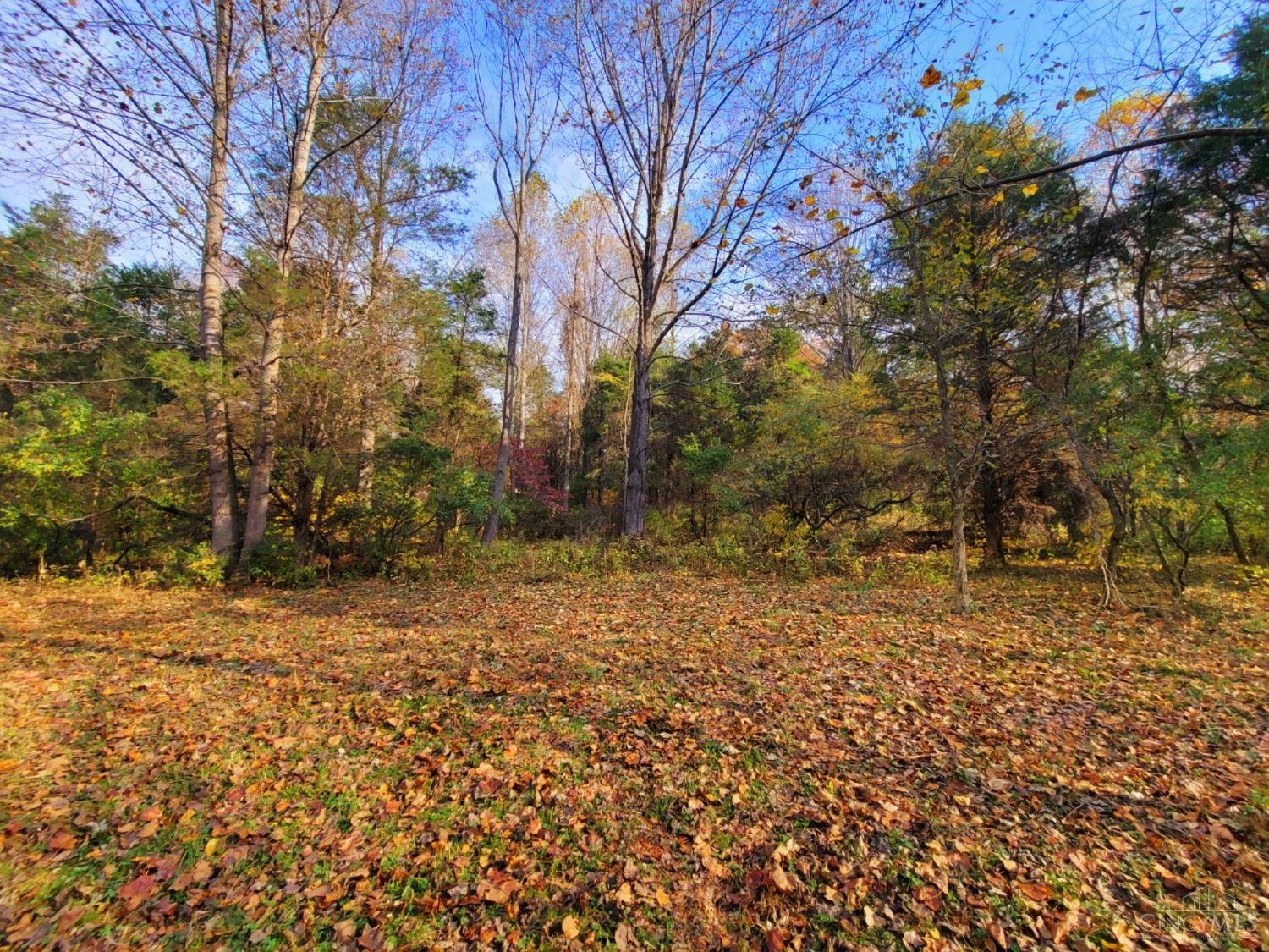 0 Laurel Moscow Rd Property Photo 2