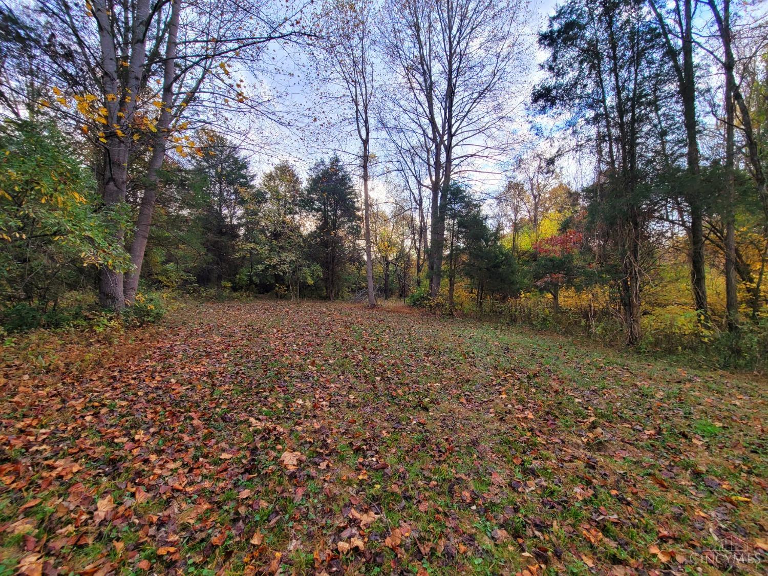 0 Laurel Moscow Rd Property Photo 8
