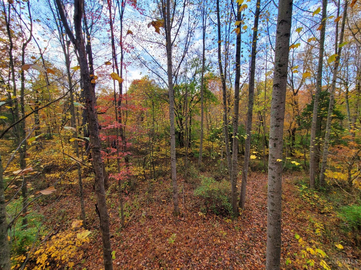 0 Laurel Moscow Rd Property Photo 13