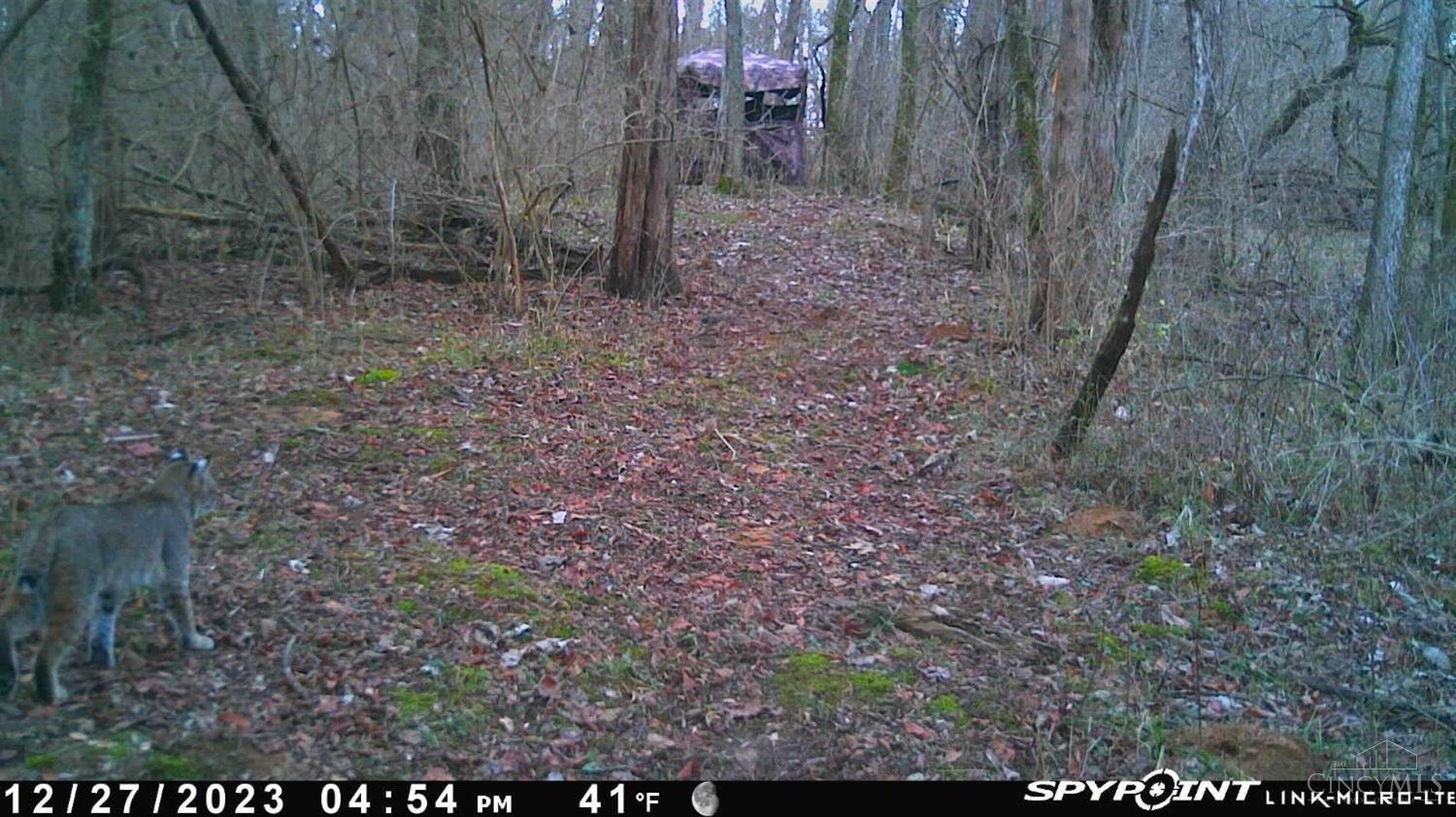 0 Laurel Moscow Rd Property Photo 23