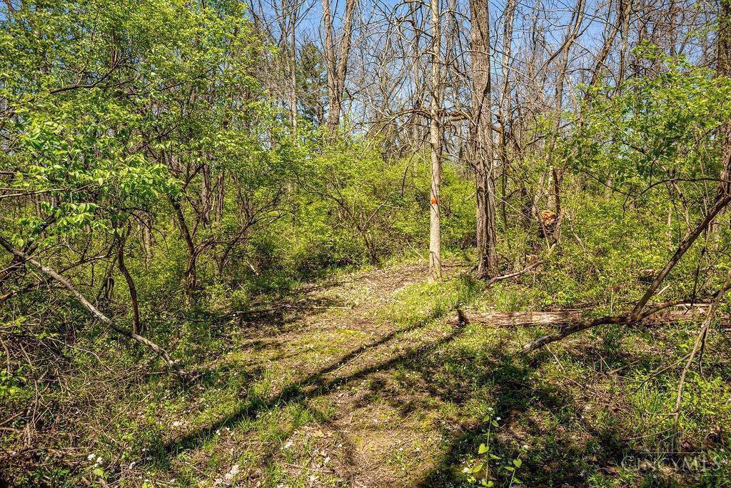 5090 Magie Hill Ln Property Photo 6