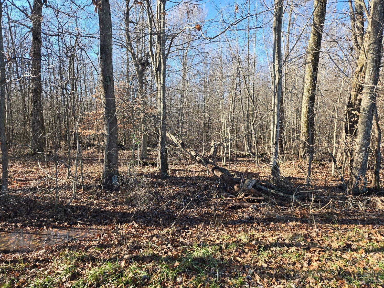 0 Parker Ln Property Photo 2