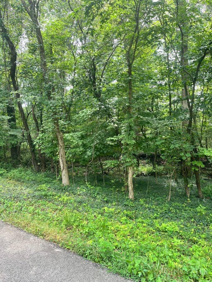 0 Horse Shoe Dr Property Photo 2