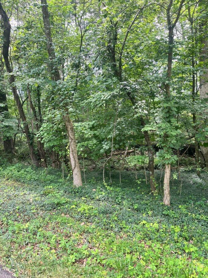 0 Horse Shoe Dr Property Photo 3