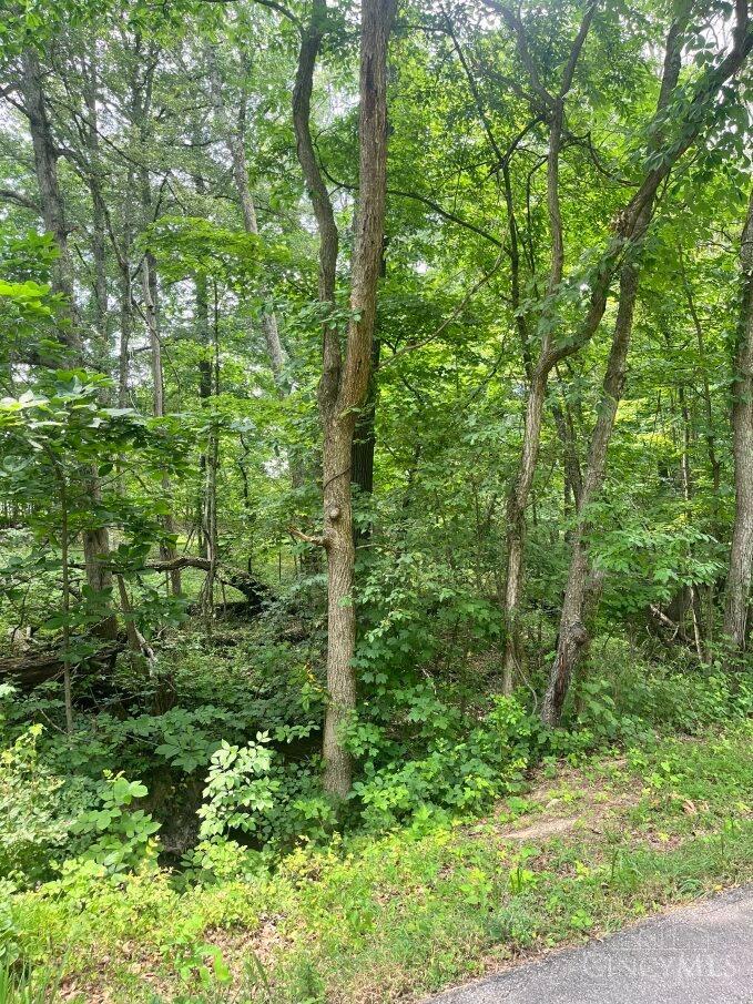 0 Horse Shoe Dr Property Photo 4