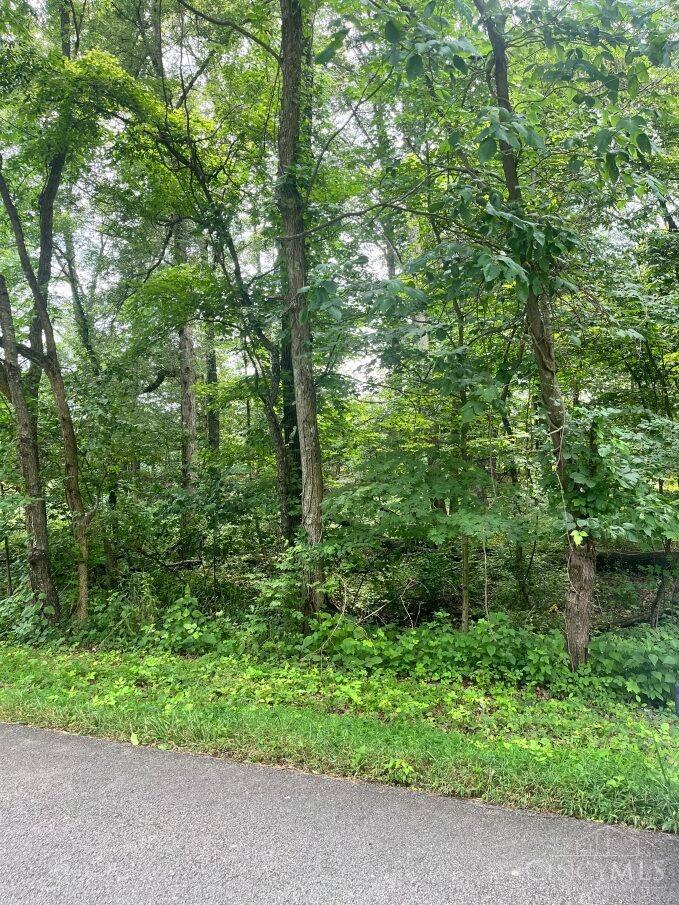 0 Horse Shoe Dr Property Photo 5