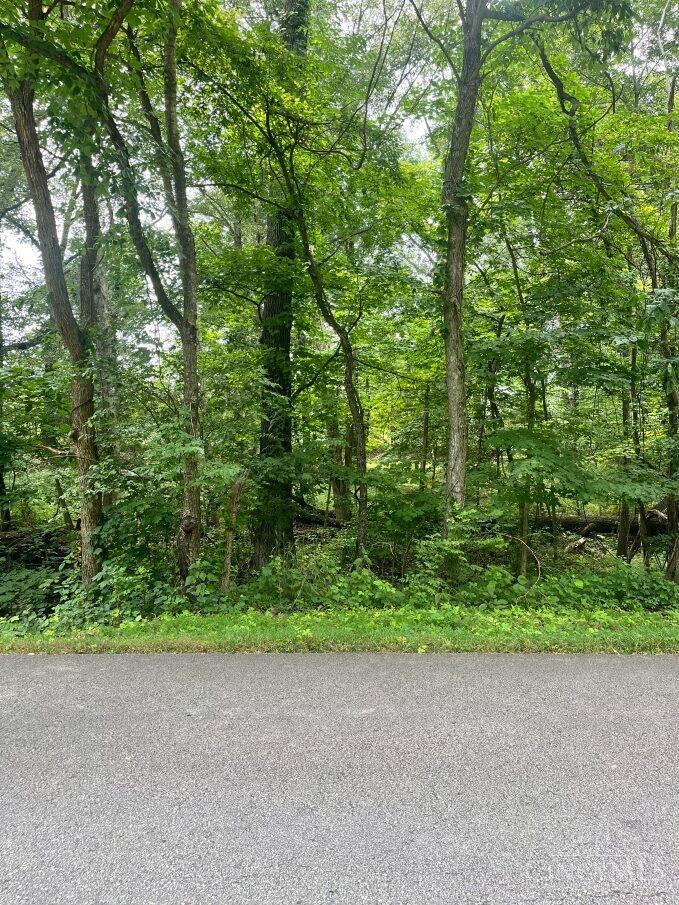 0 Horse Shoe Dr Property Photo 6