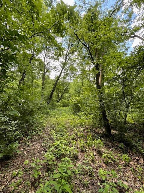 5531 Clough Pike Property Photo 3