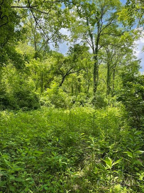 5531 Clough Pike Property Photo 6