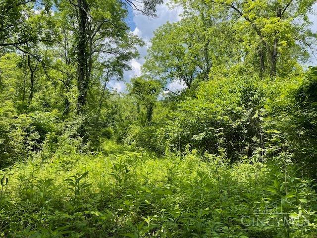 5531 Clough Pike Property Photo 7