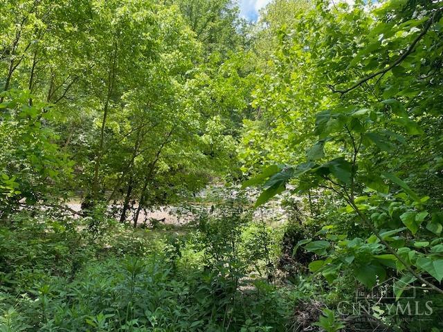 5531 Clough Pike Property Photo 8