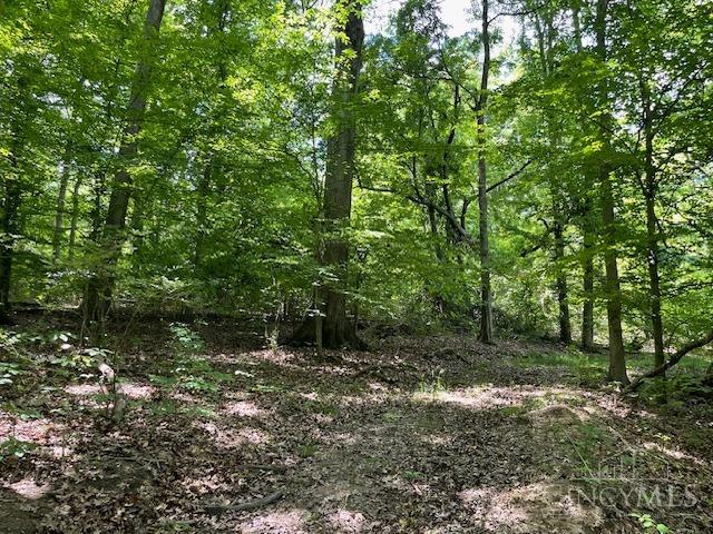 5531 Clough Pike Property Photo 15