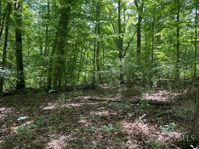 5531 Clough Pike Property Photo 16