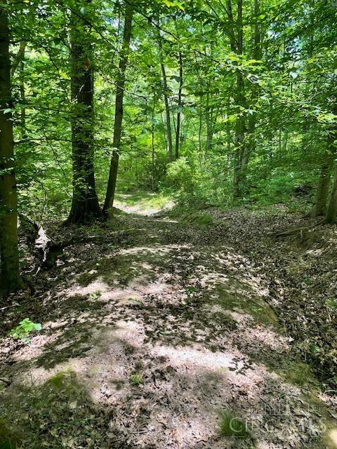 5531 Clough Pike Property Photo 17