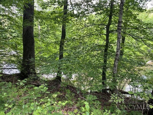 5531 Clough Pike Property Photo 19