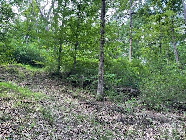 5531 Clough Pike Property Photo 20