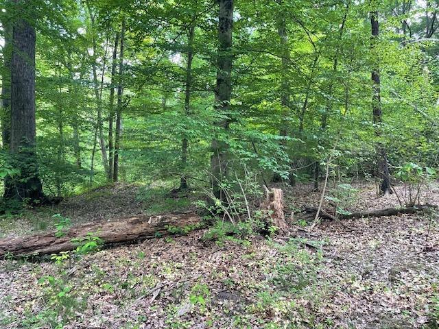 5531 Clough Pike Property Photo 21