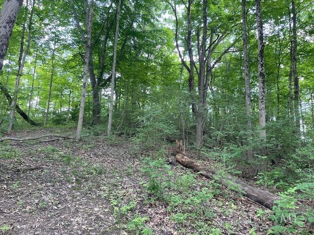 5531 Clough Pike Property Photo 23