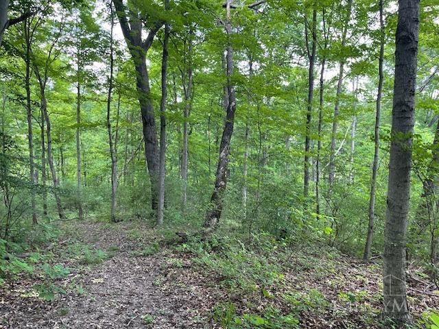 5531 Clough Pike Property Photo 24