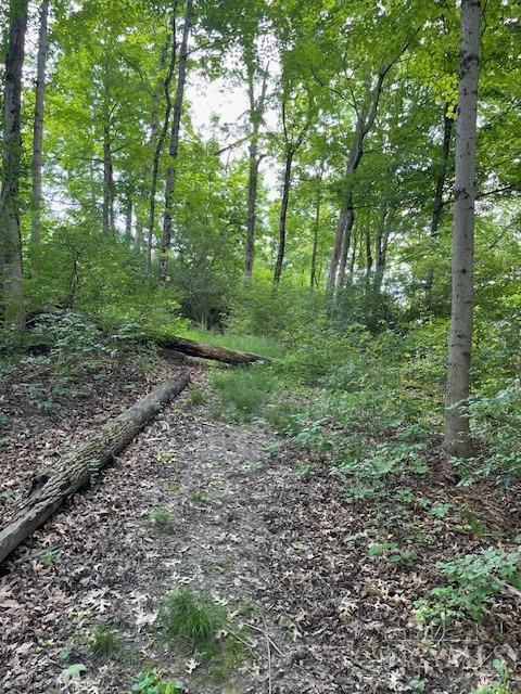 5531 Clough Pike Property Photo 25