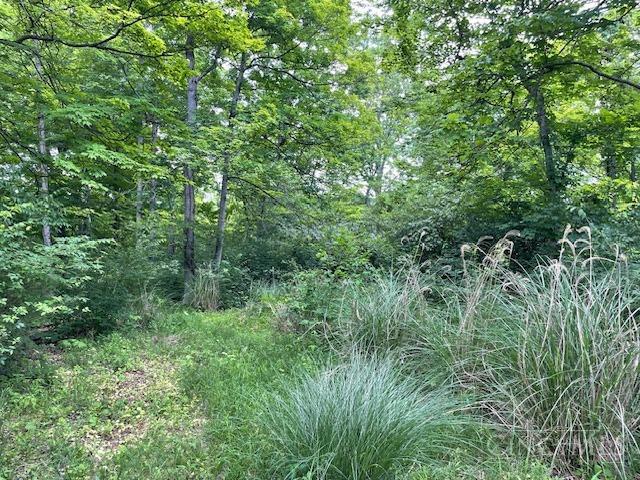 5531 Clough Pike Property Photo 26