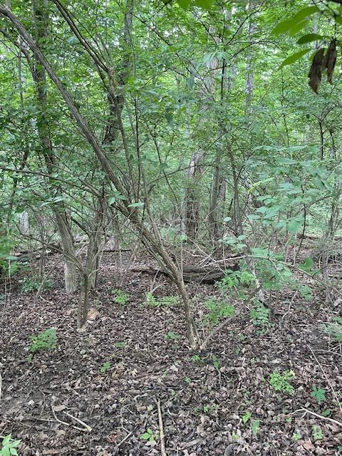 5531 Clough Pike Property Photo 28