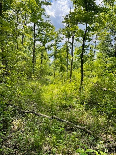 5531 Clough Pike Property Photo 30