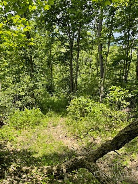 5531 Clough Pike Property Photo 31