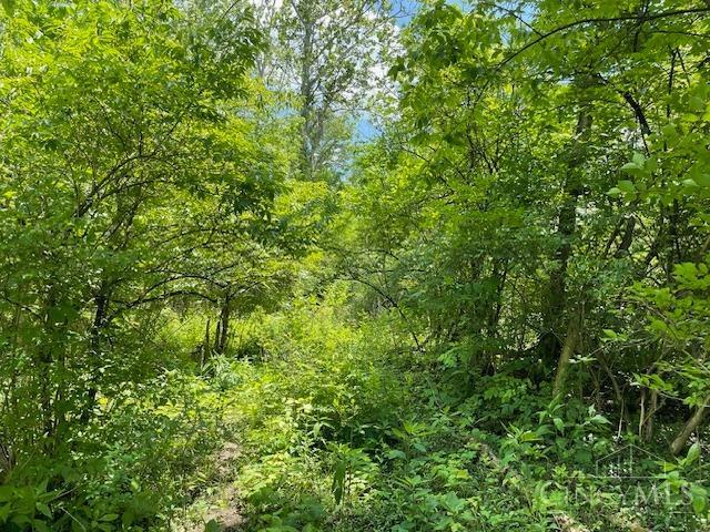 5531 Clough Pike Property Photo 41
