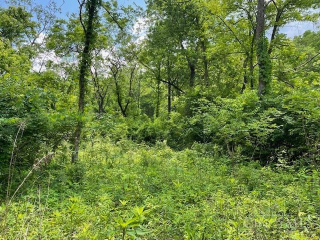 5531 Clough Pike Property Photo 42