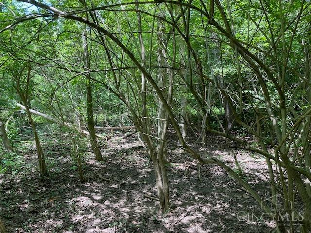 5531 Clough Pike Property Photo 43