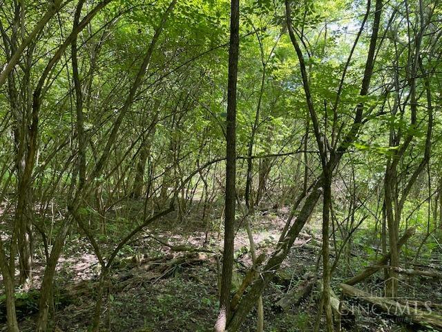 5531 Clough Pike Property Photo 44