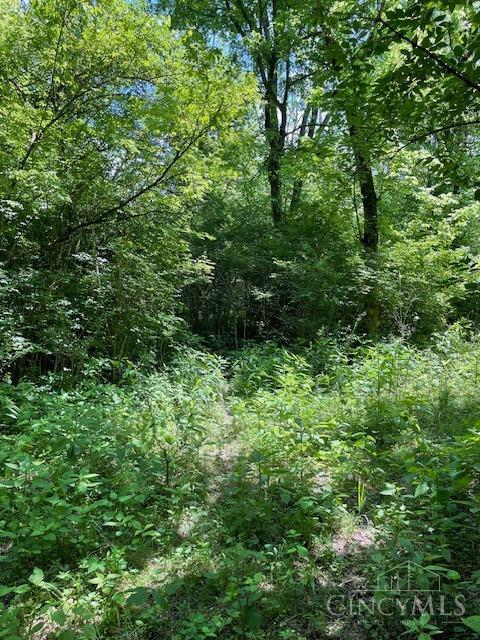 5531 Clough Pike Property Photo 45