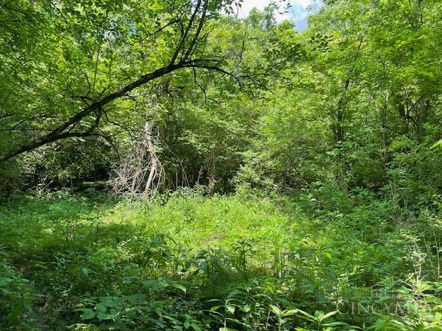 5531 Clough Pike Property Photo 46