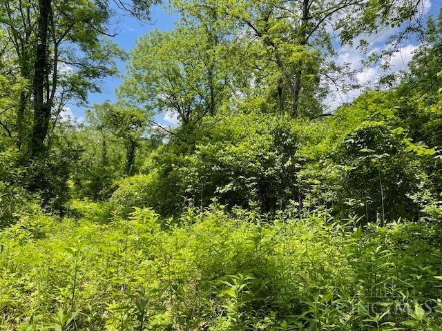 5531 Clough Pike Property Photo 47
