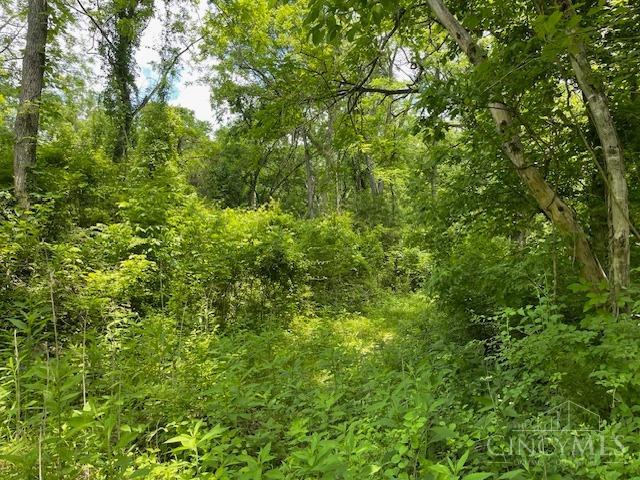 5531 Clough Pike Property Photo 48