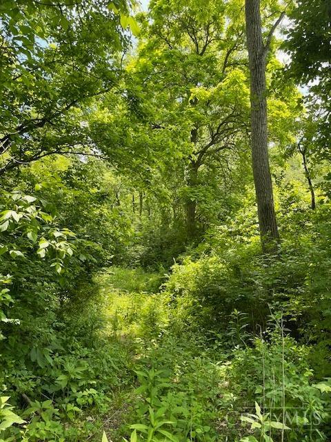 5531 Clough Pike Property Photo 49