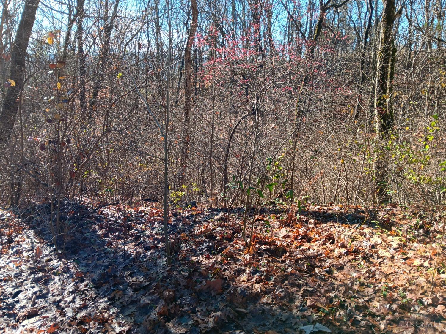 Alpine Terrace Property Photo 2