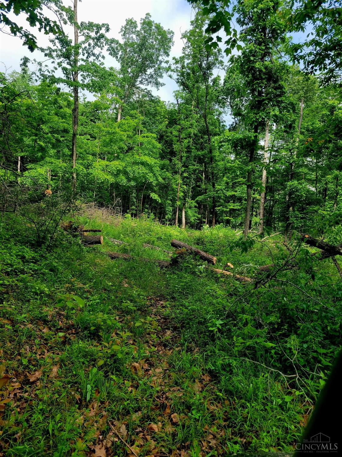 0 Unity Rd Property Photo 5
