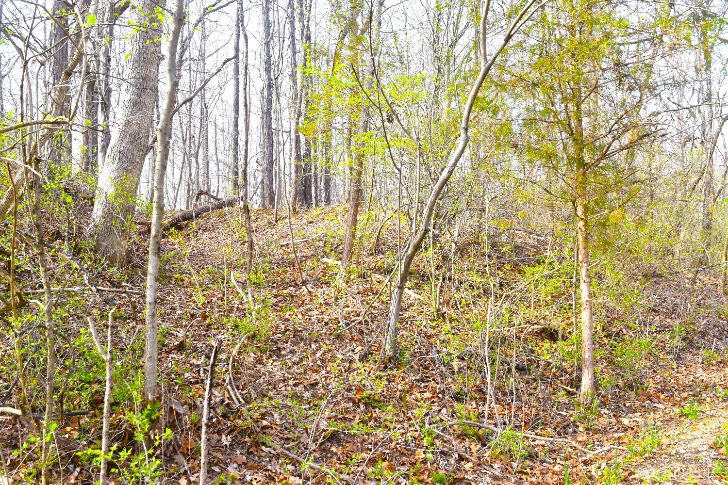 Woodland Trail Road