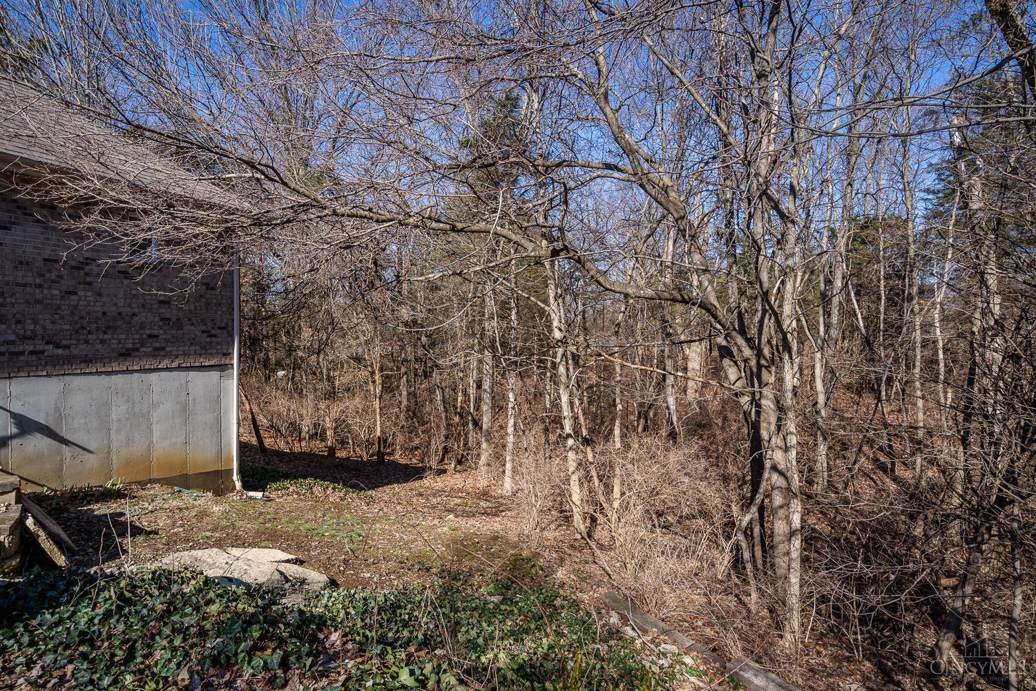 4175 Whitetail Drive Property Photo 56